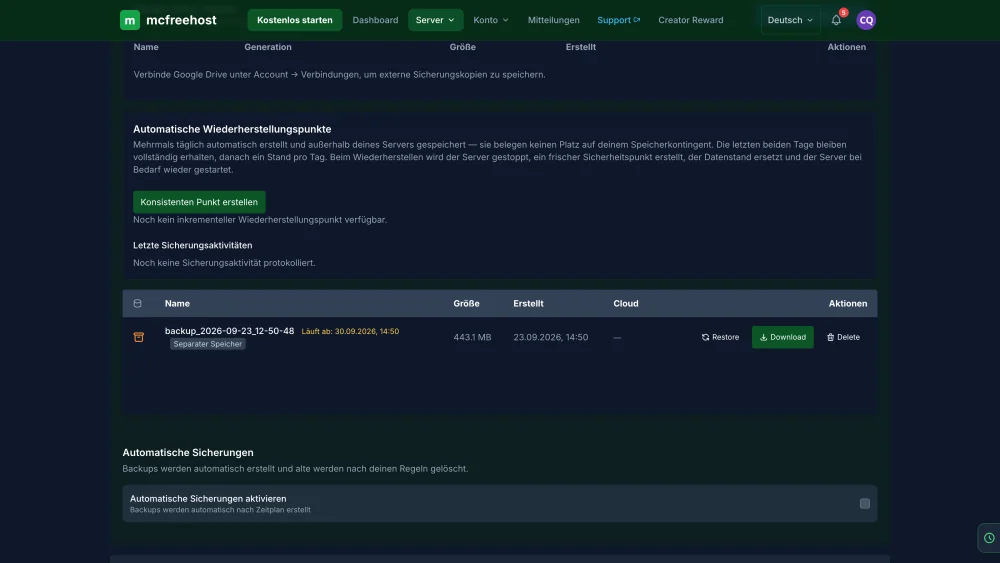 Created backup in the panel of a Cobblemon test server from that time