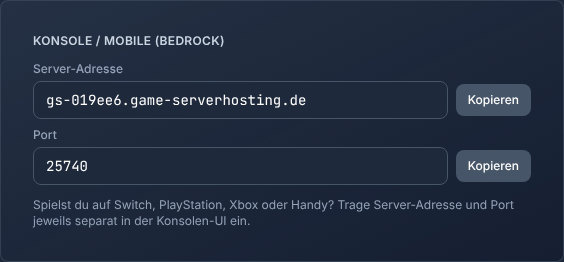 Beispiel eines Verbindungsbereichs mit getrennten Feldern für Server-Adresse und Bedrock-Port